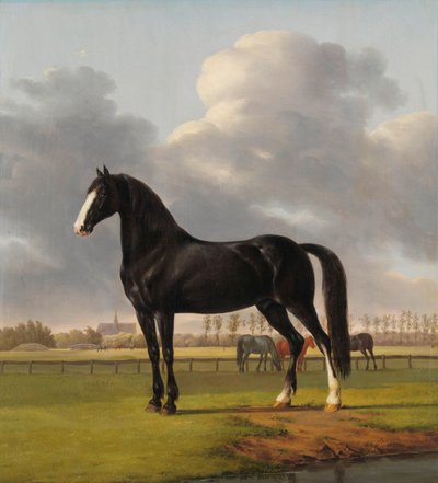 Adriaan van der Hoop’s Trotter ‘De Vlugge’ (The Fast One) in a Meadow by Anthony Oberman