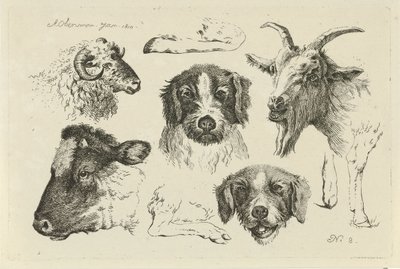 Animal Heads and Legs, Studies of Cows, Sheep and Goats (series title) by Anthony Oberman