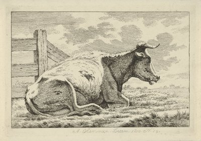 Lying Cow by a Fence (Studies of Cows, Sheep, and Goats series) by Anthony Oberman
