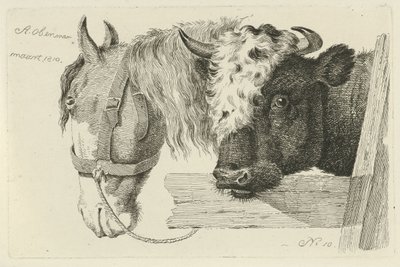 Horse Head and Bull Head Studies of Cows, Sheep, and Goats (series title) by Anthony Oberman