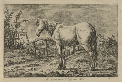 Standing Horse by Anthony Oberman