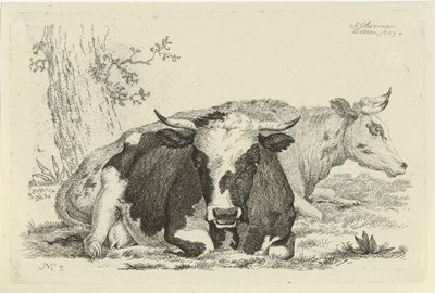 Two Lying Cows in Front of a Tree, Studies of Cows, Sheep and Goats (series title) by Anthony Oberman