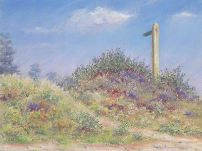 Public Footpath by Anthony Rule