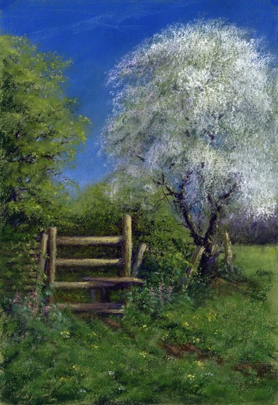 Springtime by the Stile, 2013 by Anthony Rule