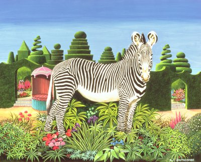 Zebra in a Garden by Anthony Southcombe