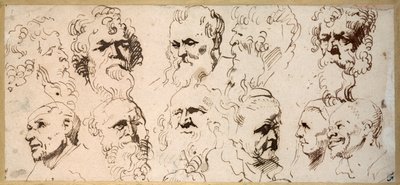 Eleven Head Studies by Anthony van Dyck
