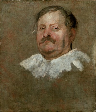 Head of a Bearded Man Wearing a Falling Ruff by Anthony van Dyck