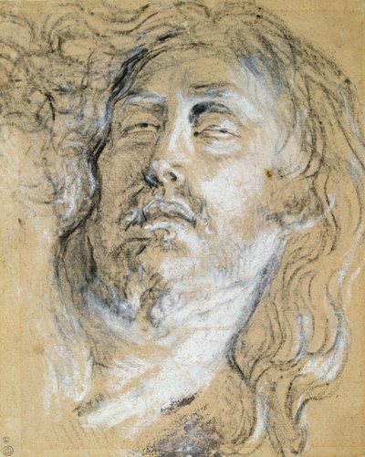 Head of the Dead Christ by Anthony van Dyck