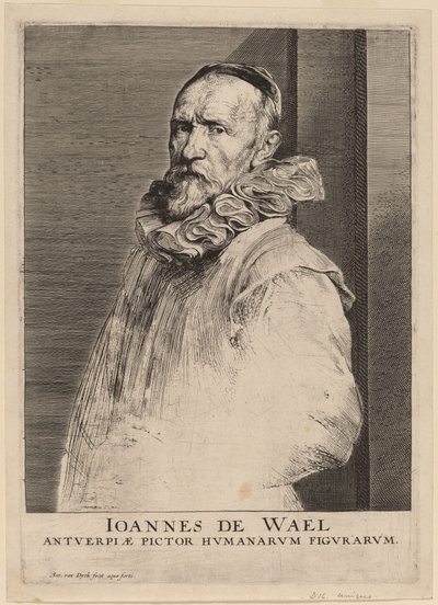 Jan de Wael by Anthony van Dyck