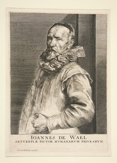 Portrait of Jan de Wael (1558-1633) by Anthony van Dyck