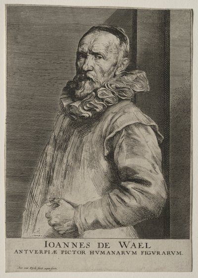 Portrait of Jan de Wael Nevers by Anthony van Dyck