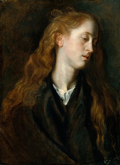 Study Head of a Young Woman by Anthony van Dyck