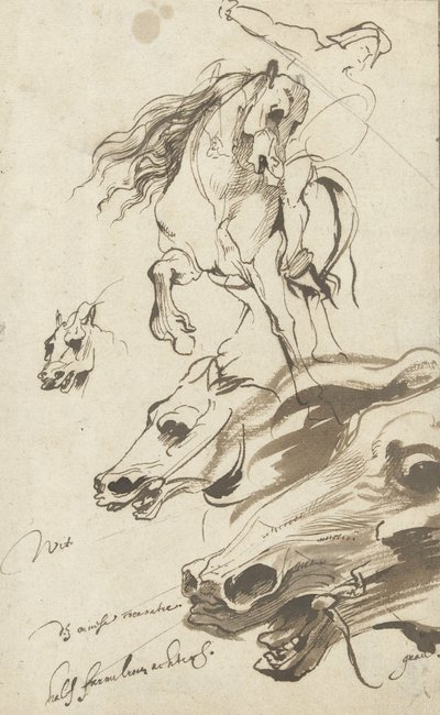 Study of Rider and Head of a Horse by Anthony van Dyck
