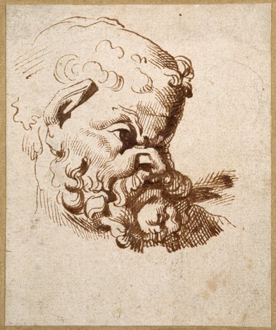Study of an Antique Head of Silenus by Anthony van Dyck