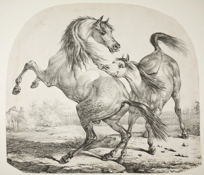 Wild Horses Fighting, c.1820 by Antoine Charles Horace Vernet