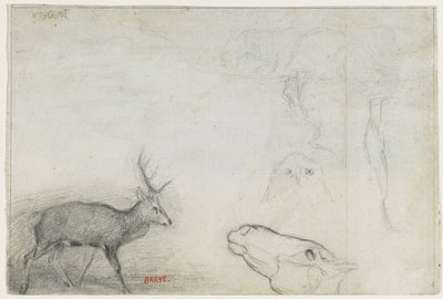 Studies of Animals (verso) by Antoine Louis Barye