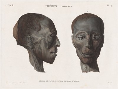 Description of Egypt: Thebes. Hypogees Vol. II, Pl. 49 by Antoine Maxime Monsaldy