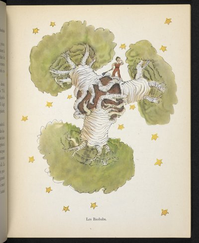 The Baobabs, illustration from 