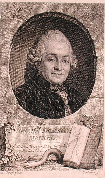 Portrait of Johann Friedrich Meckel (1724-76) Engraved by John Schleuen by Anton (after) Graff