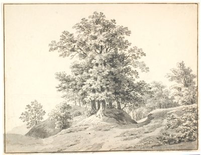 Landscape with Large Trees by the Elbe. Buxtehude by Anton Carl Dusch