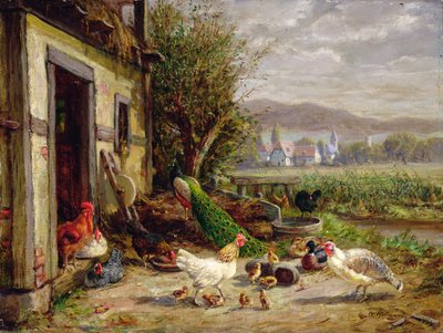 Chickens, Ducks and a Peacock by a Canal by Anton Hoffmann