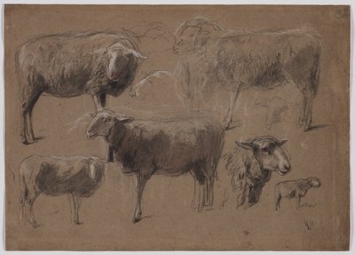Studies of Sheep by Anton Mauve
