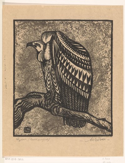 Vulture by Anton Vincent Emanuel Pohl (signed by artist)