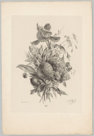 Carnations and Lilies (Flower and Fruit Studies, 10th installment) by Anton Weiss