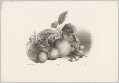 Flowers, Nectarines, and Hazelnuts by Anton Weiss