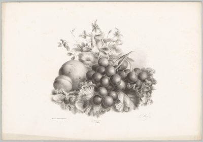 Flowers, Peach, Nectarine, Grapes, and Blackberries (Flower and Fruit Studies) (10th installment) (series title) by Anton Weiss