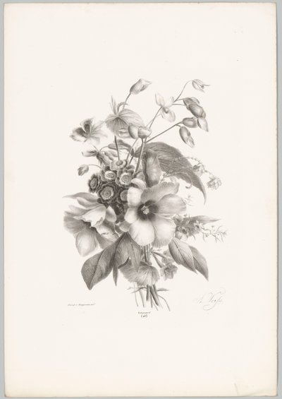 Various Flowers (Flower and Fruit Studies, 10th installment) by Anton Weiss