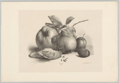 Fruit, Plums, and Oysters by Anton Weiss