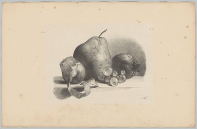Pear, Peach, Grapes, and Peeled Lemon (Flower and Fruit Studies, 3rd Issue) by Anton Weiss