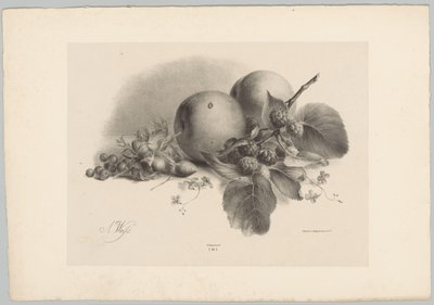 Peaches, Berries, Hazelnuts, and Blackberries by Anton Weiss