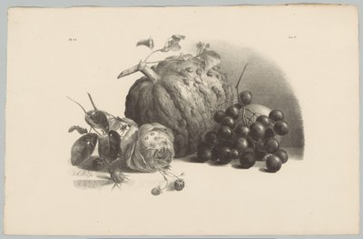 Pumpkin, Grapes, Rose and Strawberries (series title: Flower and Fruit Studies, 3rd installment) by Anton Weiss