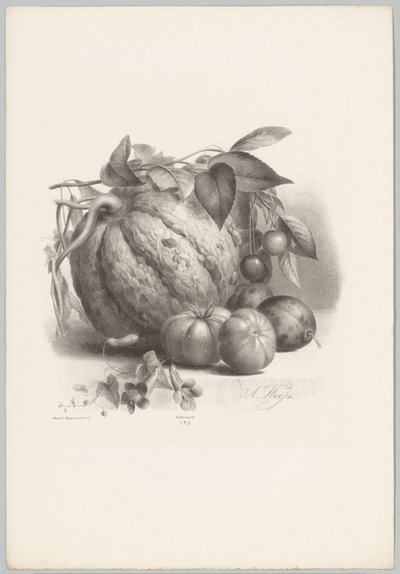 Pumpkin, Tomatoes, and Cherries (Flower and Fruit Studies, 10th Issue) by Anton Weiss