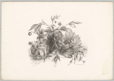 Roses, Dahlias, and Fuchsia by Anton Weiss