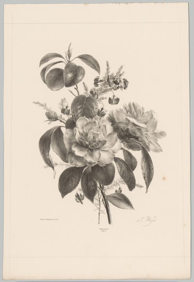 Roses and Other Flowers (Flower and Fruit Studies, 10th installment) by Anton Weiss