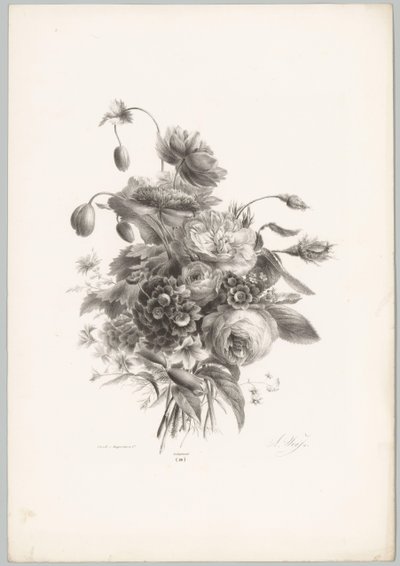 Roses and Other Flowers (Flower and Fruit Studies, 10th Issue) by Anton Weiss