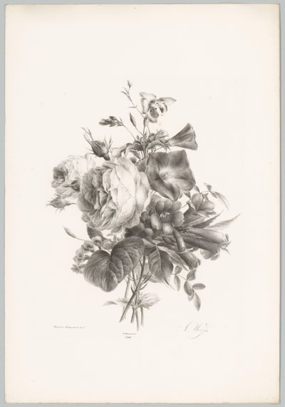 Roses and Cup-shaped Flowers (Flower and Fruit Studies, 10th installment) by Anton Weiss