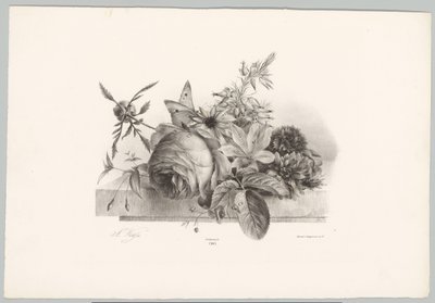 Roses, Lilies, Bell-shaped Flowers, and Butterfly (Flower and Fruit Studies, 10th Issue) by Anton Weiss