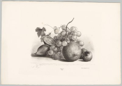 Figs, Grapes, and Orange by Anton Weiss