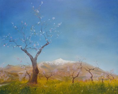Almond Blossom with Snow Capped Sierra Nevada Mountain, 2016 by Antonia Myatt