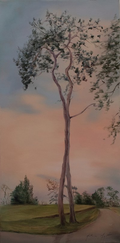 Tapeley Park trees, 2013 by Antonia Myatt