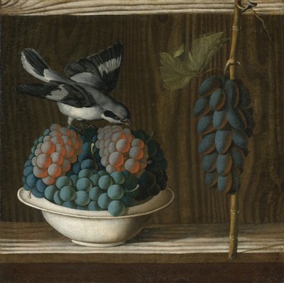 Still Life with Grapes and a Gray Shrike (Allegory of Painting) by Antonio (fl.1478 1513) Leonelli