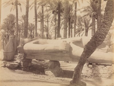 Statue of Ramesses at Saqqara, c. 1870s-1880s by Antonio Beato