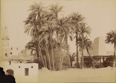 Village and Pylon of Edfu by Antonio Beato