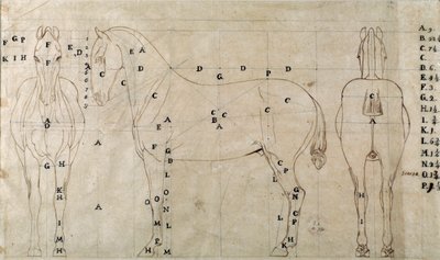 Study for a horse for an equestrian monument by Antonio Canova