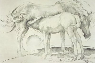 Horses at Coolmore, 1990 by Antonio Ciccone