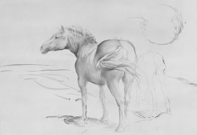Horses at Coolmore, 1990 by Antonio Ciccone